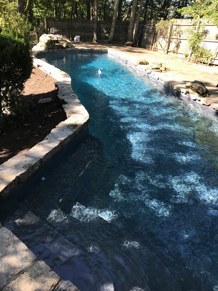 Pool Restoration Service